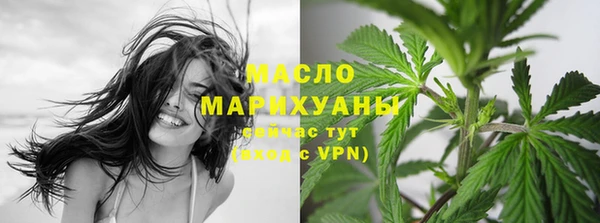 дмт Осинники