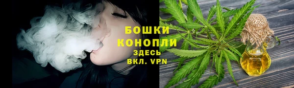 дмт Осинники
