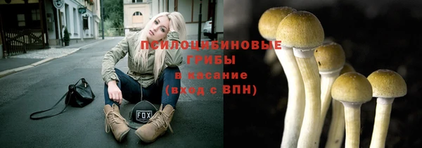 дмт Осинники