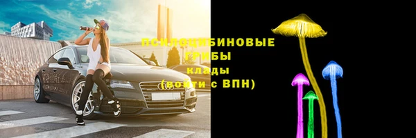 дмт Осинники
