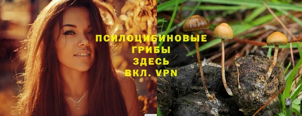мет Осташков